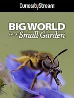 Watch Big World in a Small Garden (TV Short 2016) 123movieshub