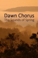 Watch Dawn Chorus: The Sounds of Spring 123movieshub