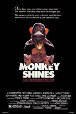 Watch Monkey Shines 123movieshub