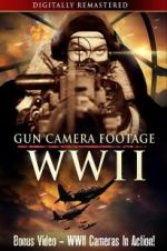 Watch Gun Camera Footage WWII 123movieshub