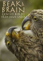 Watch Beak & Brain - Genius Birds from Down Under 123movieshub