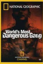 Watch National Geographic World's Most Dangerous Gang 123movieshub