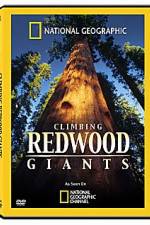 Watch National Geographic Explorer: Climbing Redwood Giants 123movieshub