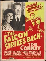 Watch The Falcon Strikes Back 123movieshub