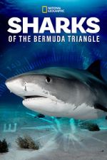 Watch Sharks of the Bermuda Triangle (TV Special 2020) 123movieshub