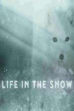 Watch Life in the Snow 123movieshub