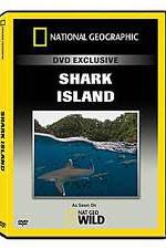Watch National Geographic: Shark Island 123movieshub