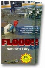 Watch Flood 123movieshub