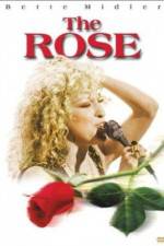 Watch The Rose 123movieshub
