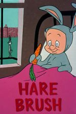 Watch Hare Brush (Short 1955) 123movieshub