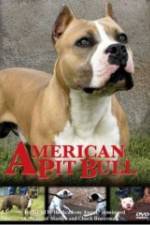 Watch American Pit Bull 123movieshub