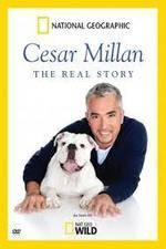 Watch Cesar Millan: The Real Story 123movieshub