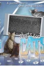 Watch Shorts for Cats 123movieshub