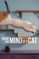 Watch Inside the Mind of a Cat 123movieshub