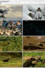 Watch National Geographic: Japans Hidden Secrets 123movieshub