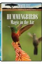 Watch Hummingbirds Magic in the Air 123movieshub