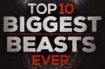 Watch Top 10 Biggest Beasts Ever 123movieshub