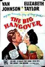 Watch The Big Hangover 123movieshub