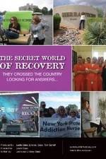 Watch The Secret World of Recovery 123movieshub