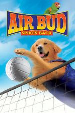 Watch Air Bud: Spikes Back 123movieshub