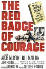 Watch The Red Badge of Courage 123movieshub