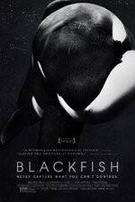 Watch Blackfish 123movieshub