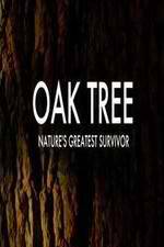 Watch Oak Tree Natures Greatest Survivor 123movieshub