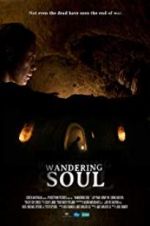Watch Wandering Soul 123movieshub