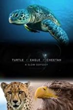 Watch Turtle, Eagle, Cheetah: A Slow Odyssey 123movieshub