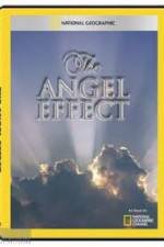 Watch National Geographic Explorer - The Angel Effect 123movieshub