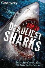 Watch National Geographic Worlds Deadliest Sharks 123movieshub