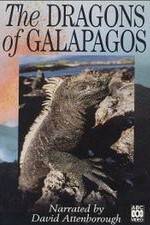 Watch The Dragons of Galapagos 123movieshub
