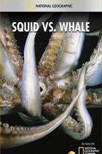 Watch National Geographic Wild - Squid Vs Whale 123movieshub