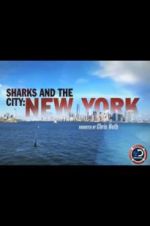 Watch Sharks and the City: New York 123movieshub