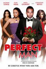 Watch The Perfect Man 123movieshub