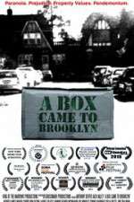 Watch A Box Came to Brooklyn 123movieshub
