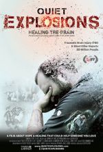 Watch Quiet Explosions: Healing the Brain 123movieshub