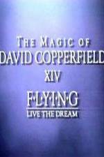 Watch The Magic of David Copperfield XIV Flying - Live the Dream 123movieshub