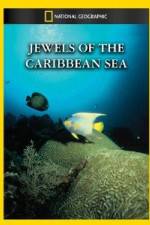 Watch National Geographic Jewels of the Caribbean Sea 123movieshub