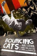 Watch Bouncing Cats 123movieshub