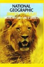 Watch National Geographic:  Walking with Lions 123movieshub