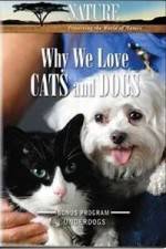 Watch Why We Love Cats And Dogs 123movieshub