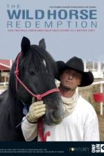 Watch The Wild Horse Redemption 123movieshub