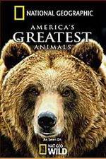 Watch America's Greatest Animals 123movieshub