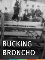 Watch Bucking Broncho 123movieshub