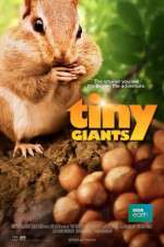 Watch Tiny Giants 3D 123movieshub