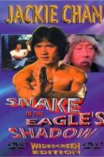 Watch Bruce Vs. Snake In Eagle's Shadow 123movieshub