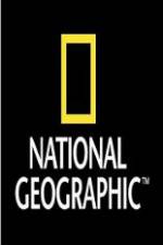 Watch National Geographic Wild War Elephants 123movieshub