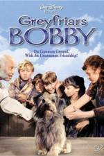 Watch Greyfriars Bobby The True Story of a Dog 123movieshub