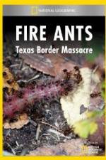 Watch National Geographic Fire Ants: Texas Border Massacre 123movieshub